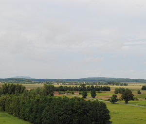 Köszöntő